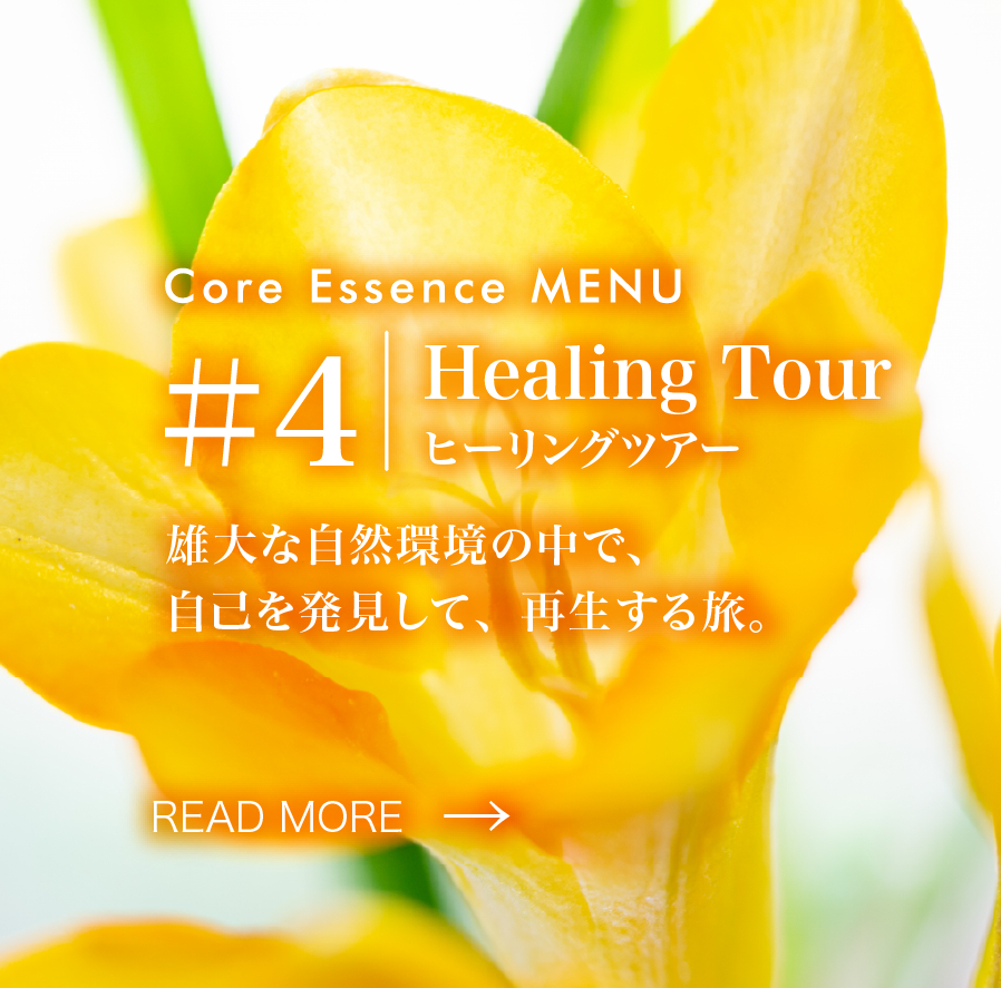 #4 Healing Tour ヒーリングツアー