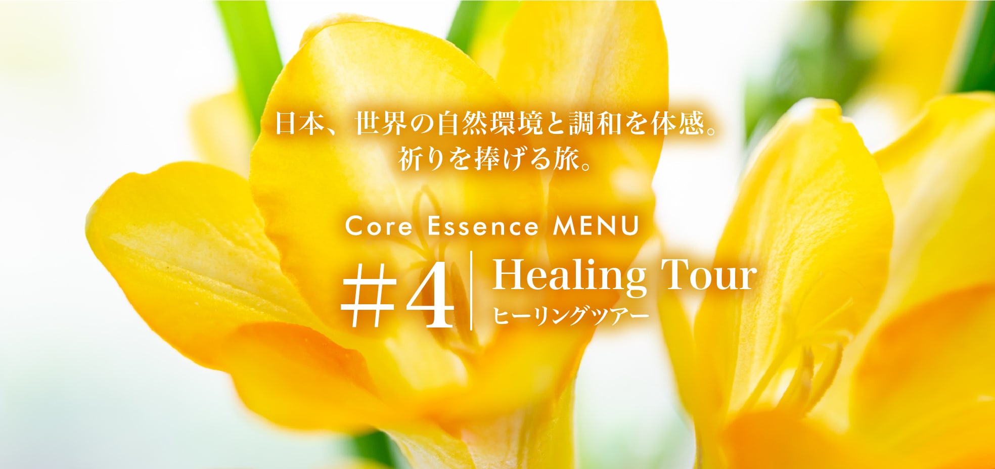 日本、世界の自然環境と調和を体感。祈りを捧げる旅。Core Essence MENU ＃4 Healing Tourヒーリングツアー